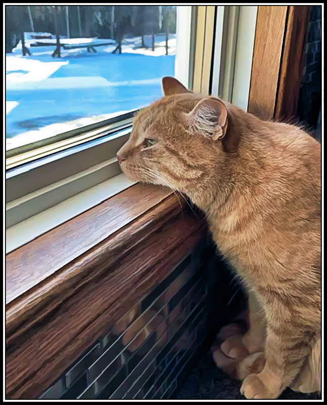 When Can I See My Friends Again by Marlene Smith